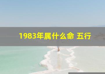 1983年属什么命 五行